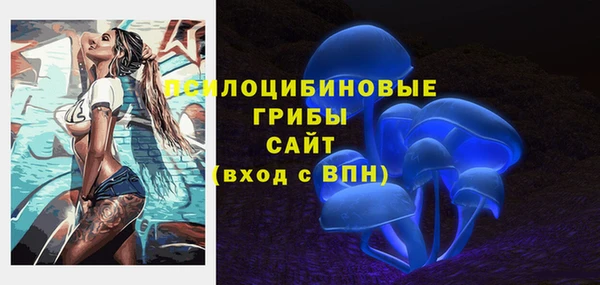 СК Балахна