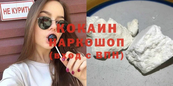 хмурый Арсеньев