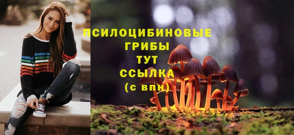 СК Балахна