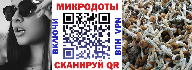 Галлюциногенные грибы мухоморы  mega вход  Валдай 